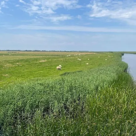 Deichbrise Nyaraló *